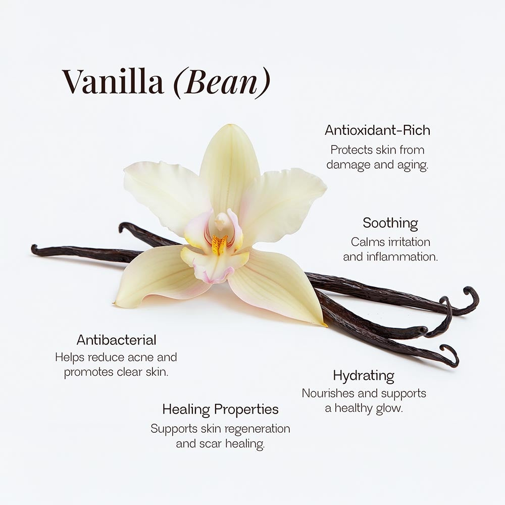 Whipped Vanilla Bean Tallow Balm