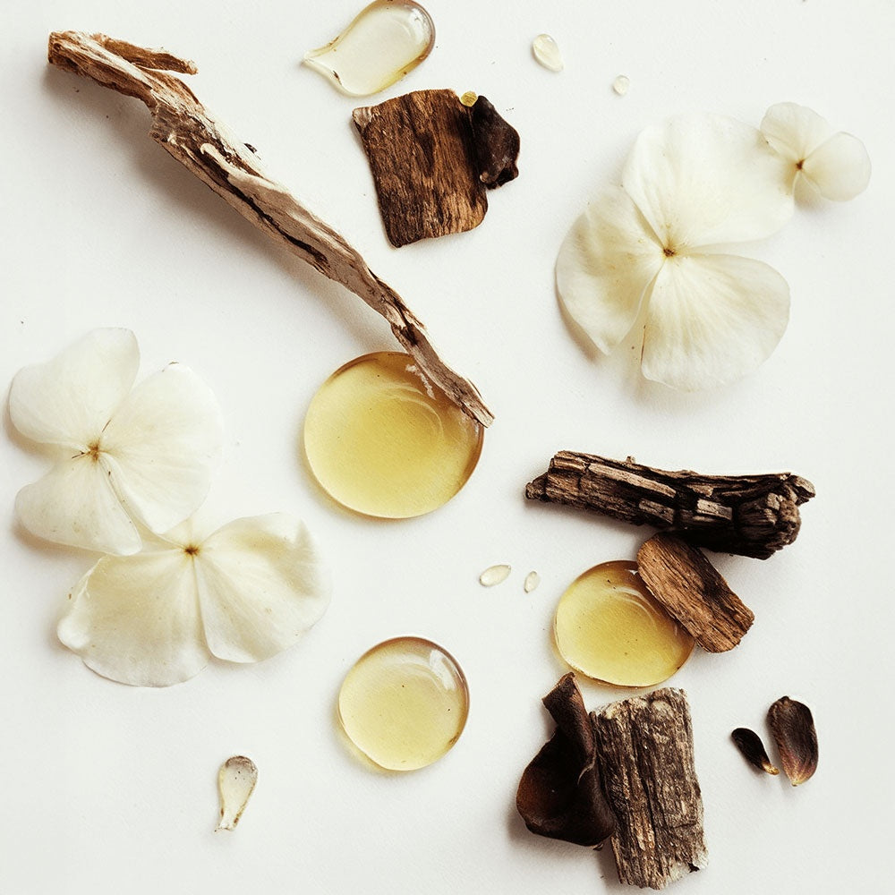 Whipped Vanilla Bean Tallow Balm