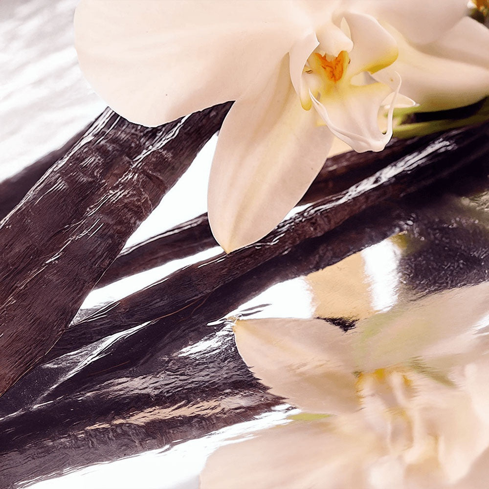 Whipped Vanilla Bean Tallow Balm