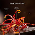 N° 02 Saffron Mist